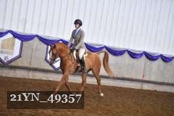 21YN_49357 thumbnail