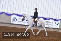21YN_49366 thumbnail