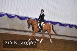 21YN_49367 thumbnail