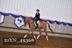 21YN_49368 thumbnail