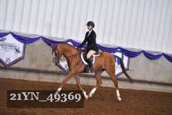 21YN_49369 thumbnail