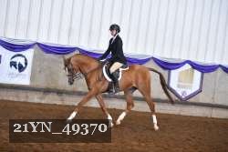 21YN_49370 thumbnail