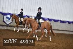 21YN_49371 thumbnail