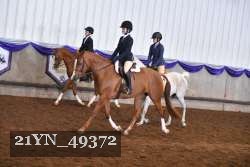 21YN_49372 thumbnail