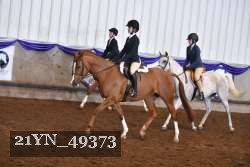 21YN_49373 thumbnail