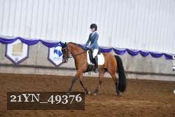 21YN_49376 thumbnail