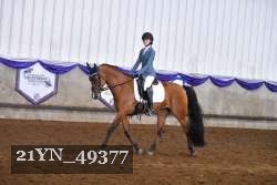 21YN_49377 thumbnail
