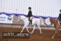21YN_49379 thumbnail