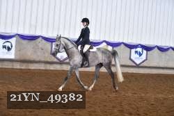 21YN_49382 thumbnail