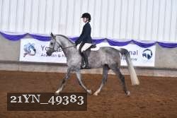 21YN_49383 thumbnail