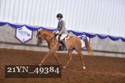 21YN_49384 thumbnail