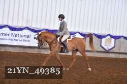 21YN_49385 thumbnail