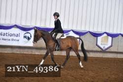 21YN_49386 thumbnail