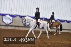 21YN_49388 thumbnail