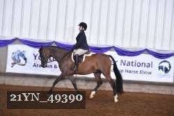 21YN_49390 thumbnail