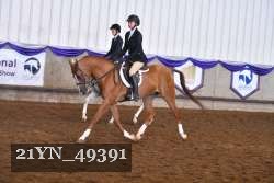 21YN_49391 thumbnail
