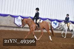 21YN_49396 thumbnail