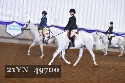 21YN_49700 thumbnail