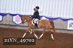 21YN_49702 thumbnail