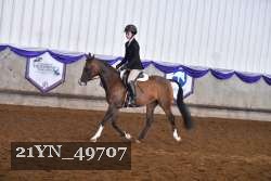 21YN_49707 thumbnail