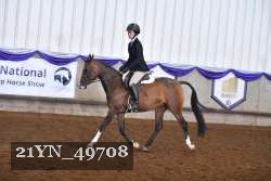 21YN_49708 thumbnail