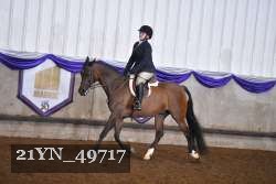 21YN_49717 thumbnail