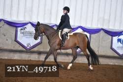 21YN_49718 thumbnail