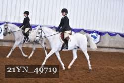 21YN_49719 thumbnail