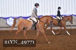 21YN_49771 thumbnail