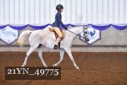 21YN_49775 thumbnail