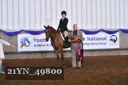 21YN_49800 thumbnail