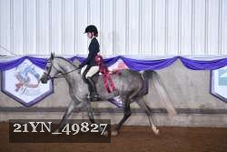 21YN_49827 thumbnail
