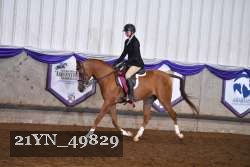 21YN_49829 thumbnail