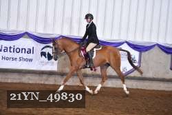 21YN_49830 thumbnail