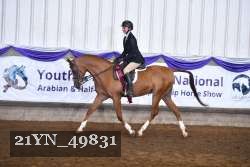 21YN_49831 thumbnail