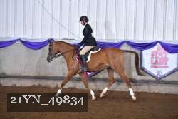 21YN_49834 thumbnail