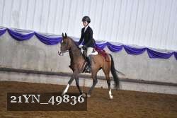 21YN_49836 thumbnail