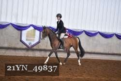 21YN_49837 thumbnail