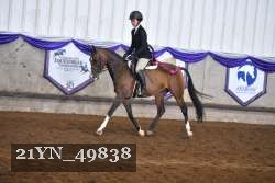 21YN_49838 thumbnail