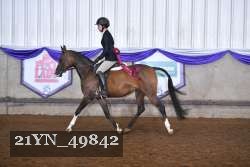 21YN_49842 thumbnail