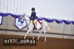 21YN_49844 thumbnail