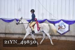21YN_49850 thumbnail