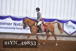 21YN_49853 thumbnail