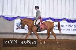 21YN_49854 thumbnail