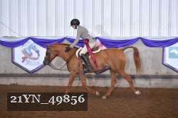 21YN_49856 thumbnail