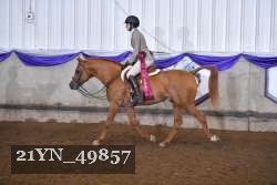 21YN_49857 thumbnail