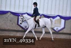 21YN_40334 thumbnail