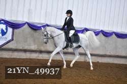 21YN_49937 thumbnail