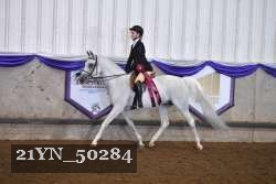 21YN_50284 thumbnail