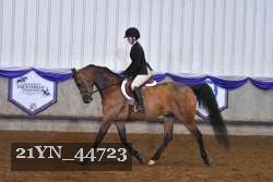 21YN_44723 thumbnail